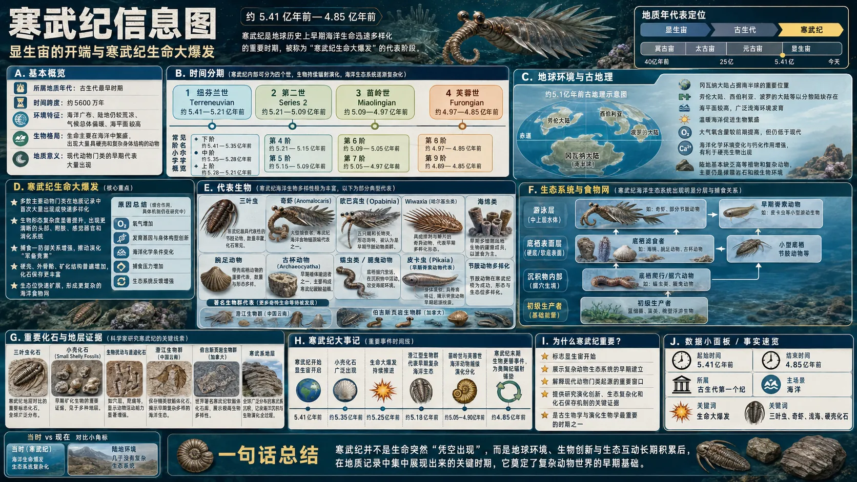 寒武纪信息图